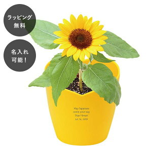 y7ȓɏoׁz n[g|bg͔|Lbg ~jq}