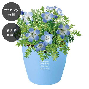 y7ȓɏoׁz n[g|bg͔|Lbg ltB