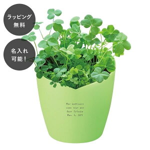 y7ȓɏoׁz bL[N[o[Zbg