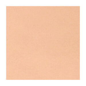 TtFg EHbVutFg 􂦂 JbgNX 18cm×18cm ǐՃ[20܂OK y25color`48colorz