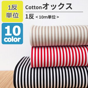 XgCv 4~ IbNX S10F y110[gz  ܂Ƃߔ ȕ Ă n  100  ۊ pp\ { n  |ޗ KIJICO LWR