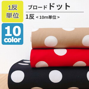 hbg a22~ u[h S10F y110[gz  ܂Ƃߔ ʕ RChbg n  100  ۊ pp\ { n  |ޗ KIJICO LWR