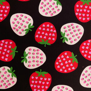 y10Z`P ؔz 3[g܂Ń[OK  C`S 啿 t[c IbNX n 100% 110Z` S2F n  |ޗ KIJICO LWR pp\