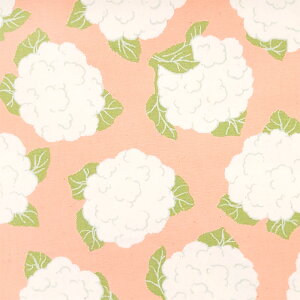 y10Z`P ؔz 3[g܂Ń[OK Jt[  xW^u IbNX n 100% 110Z` n  |ޗ KIJICO LWR pp\