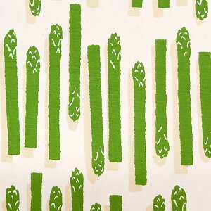 y10Z`P ؔz 3[g܂Ń[OK AXpKX I_LWJNV  xW^u IbNX n 100% 110Z` n  |ޗ KIJICO LWR pp\