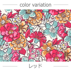 y10Z`P ؔz 3[g܂Ń[OK ԕ 傫 JAMBO V[Y N₩ IbNX 100 S2F n  |ޗ KIJICO LWR pp\