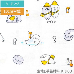 y10Z`P ؔz 3[g܂Ń[OK AUV `AiS V[`O 100 n  |ޗ KIJICO LWR pp\