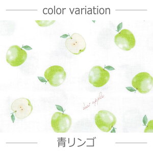 y10Z`P ؔz 3[g܂Ń[OK  S t[c V[`O 100 S2F n  |ޗ KIJICO LWR pp\