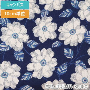 y10Z`P ؔz2[g܂Ń[OK ԕ 敗 A 傫 LoX 80 20 lCr[ n  |ޗ KIJICO LWR pp\