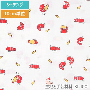 y10Z`P ؔz 3[g܂Ń[OK Gr Jj GrtC V[`O 100 n  |ޗ KIJICO LWR pp\