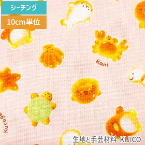 y10Z`P ؔz 3[g܂Ń[OK p C̐ yM J Jj V[`O 100 n  |ޗ KIJICO LWR pp\