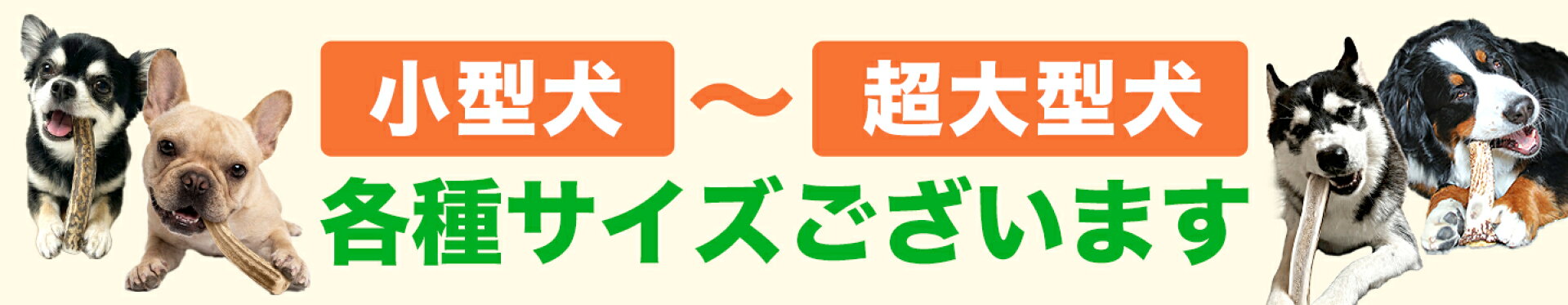 中型犬用鹿角さん