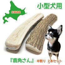 楽天市場】北海道 エゾシカ 角の通販
