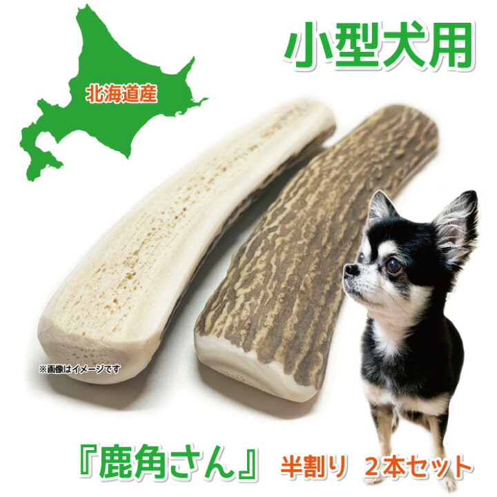 楽天市場】【小型犬用 蝦夷鹿の角】犬のおもちゃ 『鹿角さん』 髄出し 