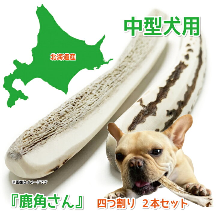 楽天市場】【中型犬用 蝦夷鹿の角】『鹿角さん』 髄出し割り角 四つ  