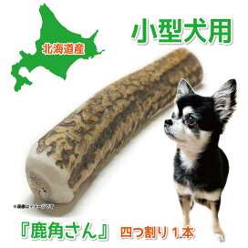 imgrc0103968353.jpg?fitin=272:272