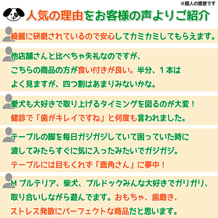楽天市場】【中型犬用 蝦夷鹿の角】『鹿角さん』 髄出し割り角 四つ 