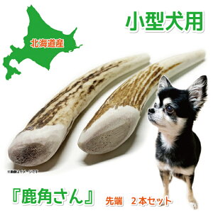 y^p ڈΎ̊pẑwpx [ 2{Zbg TCYi10`12cmF0.5`3cmj VR Y kCY ̊p  f^ L  ݕ ΍