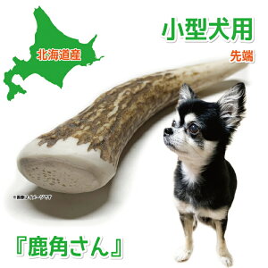 y^p ڈΎ̊pẑwpx [ 1{ TCYi10`12cmF0.5`3cmj VR Y kCY ̊p  f^ L  ݕ ΍