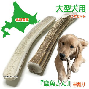 y^p ڈΎ̊pzwpx 2{Zbg TCYi19`21cmF2.5`4cmj VR Y ̂ kCY ̊p  f^ L ݕ ΍ Â艮
