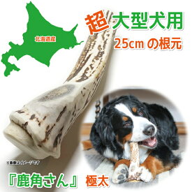 【超大型犬用 蝦夷鹿の角】『鹿角さん』極太の根元 1本 サイズ（長さ25cm～：太さ3cm～） 天然 無添加 犬のおもちゃ 北海道産 鹿の角 犬 デンタル 口臭 噛み癖 対策 手づくり屋さん 鹿角