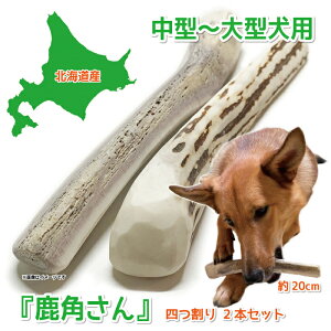 y^`^p@ڈΎ̊pẑwpx l胍O 2{Zbg TCYi19`21cmF1.5`4cmjVR Y kCY ̊p  f^ L ݕ 