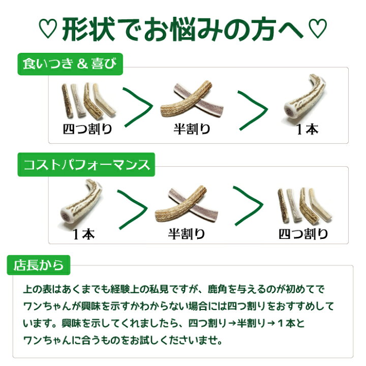 楽天市場】【中型犬用 蝦夷鹿の角】犬のおもちゃ『鹿角さん』 髄出し 