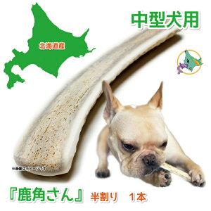 y^p@ڈΎ̊pẑwpx o  1{ TCYi14`16cmF1.5`4cmjVR Y kCY ̊p  f^ L ݕ Â艮