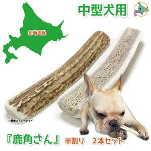 y^p@ڈΎ̊pẑwpx o  2{Zbg TCYi14`16cmF1.5`4cmjVR Y kCY ̊p  f^ L ݕ Â艮