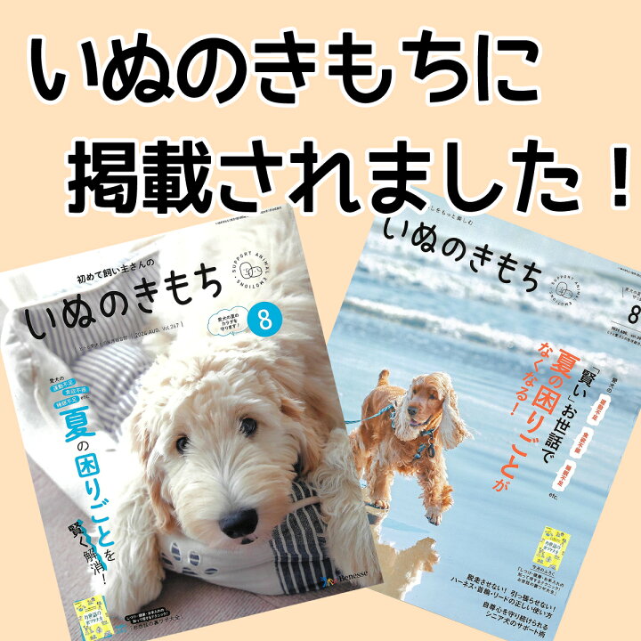 No.1686『鹿角26本セット』鹿の角 エゾ鹿 鹿角 エゾシカ 蝦夷鹿 迫っ