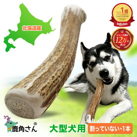 【大型犬用 蝦夷鹿の角】『鹿角さん』 1本 サイズ（長さ約20cm～：太さ約2cm〜） 天然 無添加 犬のおもちゃ 北海道産 鹿の角 犬 デンタル 口臭 噛み癖 手づくり屋さん