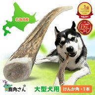 【大型犬用 蝦夷鹿の角】『鹿角さん』 けんか角 1本 サイズ（長さ約20〜22cm：太さ約1〜5cm） 天然 無添…
