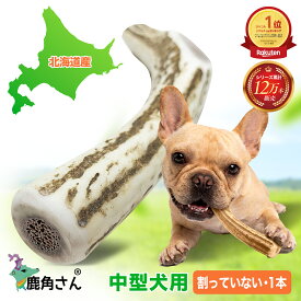 中型犬用 蝦夷鹿の角 『鹿角さん』 割っていないタイプ 1本 天然 無添加 北海道産 鹿の角 犬のおもちゃ 犬 かむおもちゃ エゾ鹿 エゾシカ ツノ デンタル 鹿角
