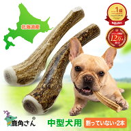 中型犬用 蝦夷鹿の角 『鹿角さん』 割っていないタイプ 2本セット 天然 無添加 北海道産 鹿の角 犬のおも…