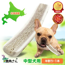【中型犬用　蝦夷鹿の角】犬のおもちゃ『鹿角さん』 髄出し 半割り 1本 サイズ（長さ14〜16cm：太さ1.5〜4cm）天然 無添加 北海道産 鹿の角 犬 デンタル 口臭 噛み癖 手づくり屋さん