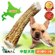 【中型犬用　蝦夷鹿の角】犬のおもちゃ『鹿角さん』 髄出し 四つ割り 1本 サイズ（長さ14〜16cm：太さ1.5…