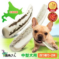 【中型犬用 蝦夷鹿の角】『鹿角さん』 髄出し割り角 四つ割りタイプ 2本セット サイズ（長さ14〜16cm：太…
