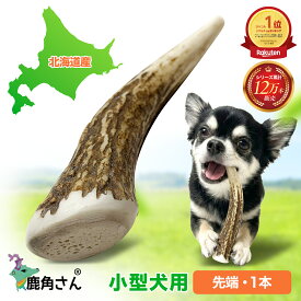 【小型犬用 蝦夷鹿の角】犬のおもちゃ『鹿角さん』 先端 1本 サイズ（長さ10〜12cm：太さ0.5〜3cm） 天然 無添加 北海道産 鹿の角 犬 デンタル 口臭 いたずら 噛み癖 対策