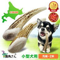 【小型犬用 蝦夷鹿の角】犬のおもちゃ『鹿角さん』 先端 2本セット サイズ（長さ10〜12cm：太さ0.5〜3cm…