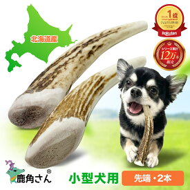【小型犬用 蝦夷鹿の角】犬のおもちゃ『鹿角さん』 先端 2本セット サイズ（長さ10〜12cm：太さ0.5〜3cm） 天然 無添加 北海道産 鹿の角 犬 デンタル 口臭 いたずら 噛み癖 対策