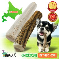 楽天市場】北海道 エゾシカ 角の通販