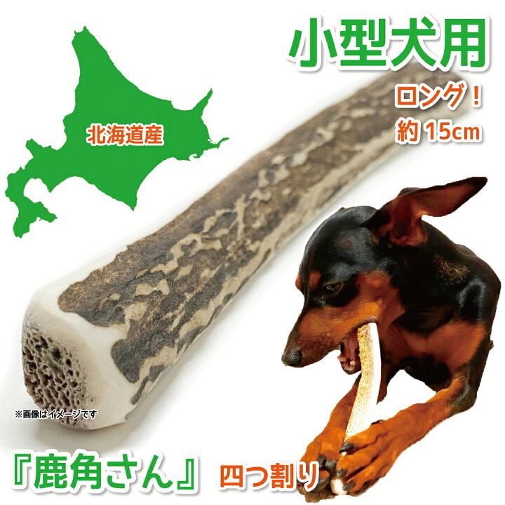楽天市場】【小型犬用 蝦夷鹿の角】犬のおもちゃ『鹿角さん』 髄出し 