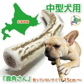 中型犬用 蝦夷鹿の角 『鹿角さん』 割っていないタイプ 1本 天然 無添加 北海道産 鹿の角 犬のおもちゃ 犬 かむおもちゃ エゾ鹿 エゾシカ ツノ デンタル 鹿角