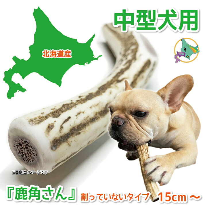 楽天市場】中型犬用 蝦夷鹿の角 『鹿角さん』 割っていないタイプ 1本 