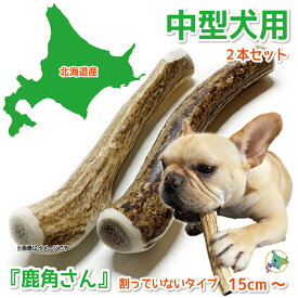 中型犬用 蝦夷鹿の角 『鹿角さん』 割っていないタイプ 2本セット 天然 無添加 北海道産 鹿の角 犬のおもちゃ 犬 かむおもちゃ エゾ鹿 エゾシカ ツノ デンタル 鹿角