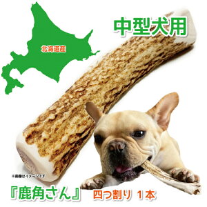 y^p@ڈΎ̊pẑwpx o l 1{ TCYi14`16cmF1.5`3.5cmjVR Y kCY ̊p  f^ L ݕ Â艮 4