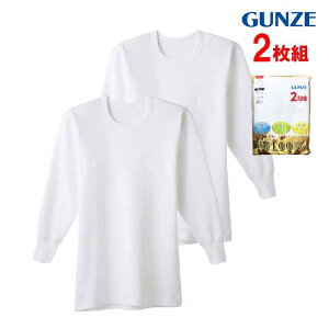 O[ Y ێ Ci[Vc   Ci[ Vc  ێ TVc 2g A_[Vc am YCi[ 100 GUNZE HD61082 M-LL