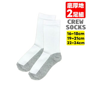 XN[\bNX \bNX N[ C n LbY WjA XN[ w w j̎q ̎q  ʉ ʊw 2g  wZ wZ jp w Ǝ Vw