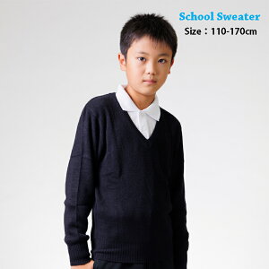 XN[Z[^[ Z[^[ LbY w jbg n F VlbN ʊw qp w   lCr[ j̎q ̎q w wZ w Ǝ \ ct ۈ牀