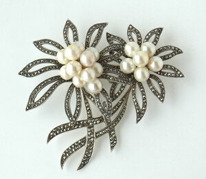 R Vo[p[Ƀ}JWbg؂ȃu[` 202C0081